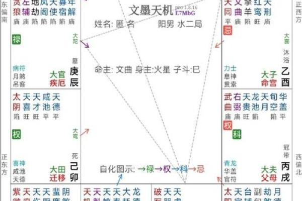 网上紫薇斗数不准