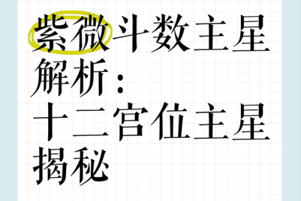 紫微斗数之诸星值限年运气推断:天府星之年 紫微斗数之诸星值限年运气推断:天府星之年