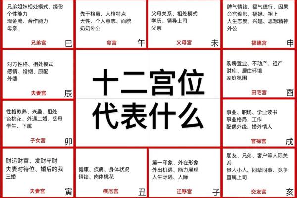 紫薇斗数看自身成就