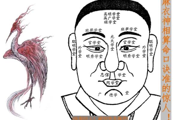 眉毛算命