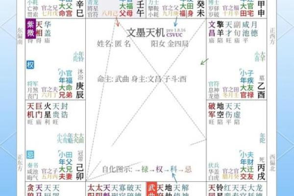 紫微斗数免费算命详解,紫微斗数免费算命神巴巴网