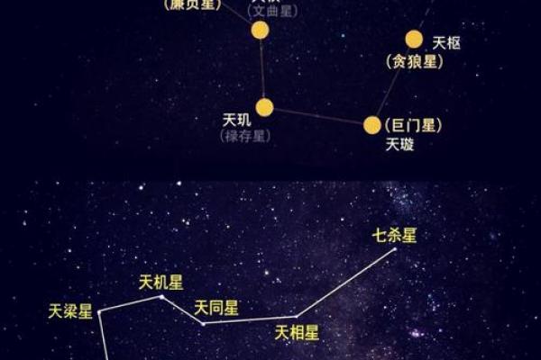青龙紫薇斗数命宫