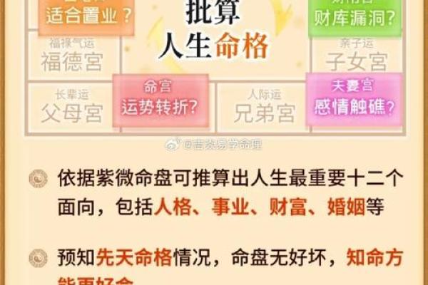免费算命财运位