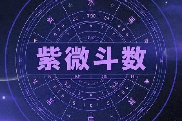 紫薇斗数中的紫微星