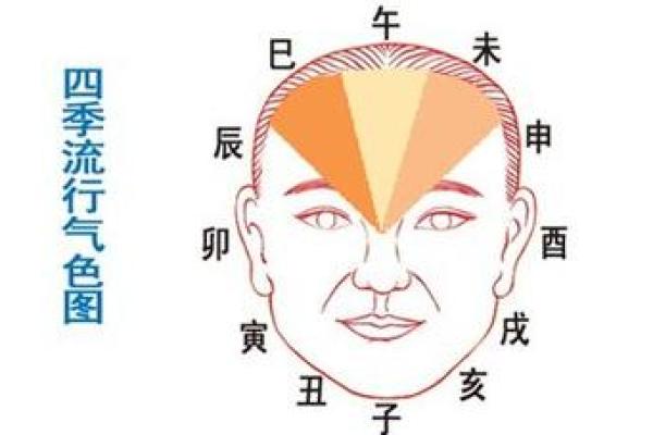 面相算命入门：五行与相貌