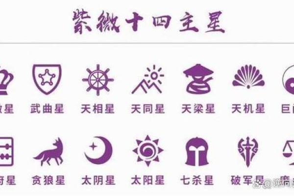 紫薇斗数应用