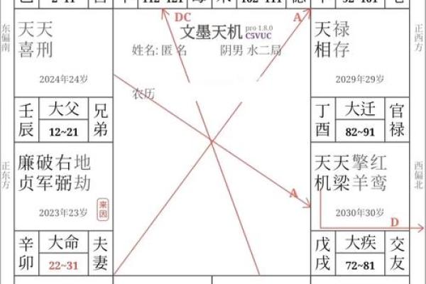 紫薇斗数断事业方向