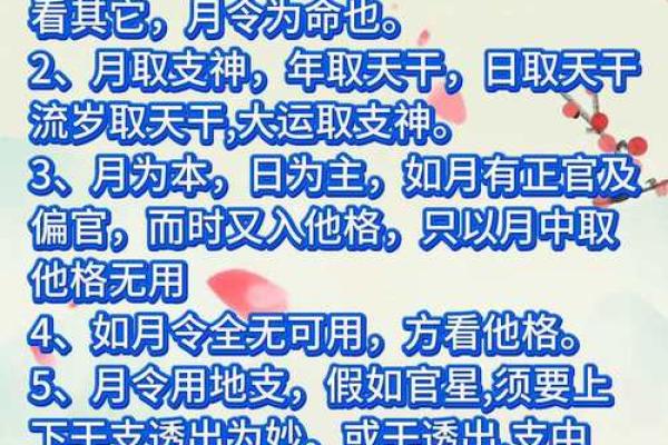 八字透出天干是什么意思