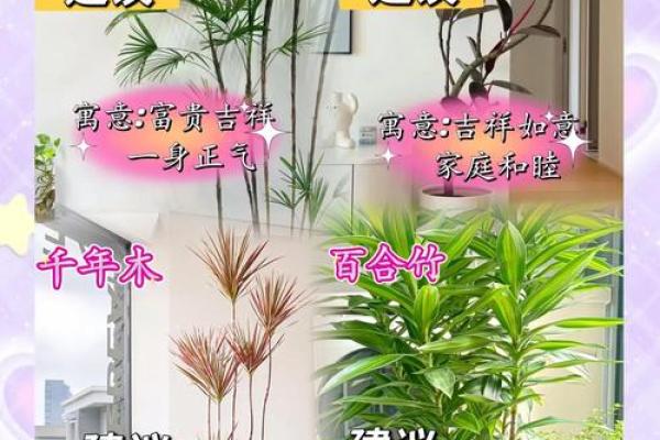 风水一年四季都不死的花都有哪些类型