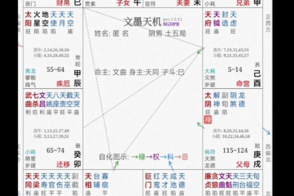 关于紫薇斗数软件安卓破解版的信息