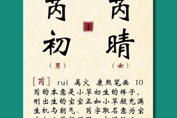 权威可信的国学宝宝起名网站,国学姓名测试打分