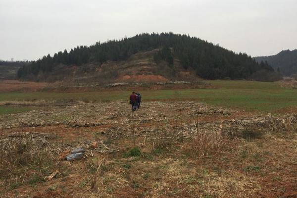 风水点穴_青蛙捕食穴应点在什么地方