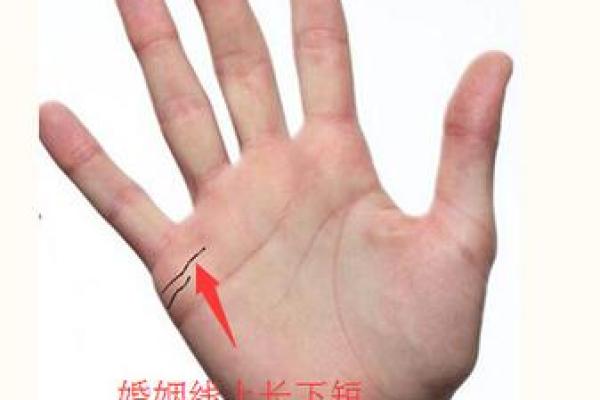 从人的腿部看相算命