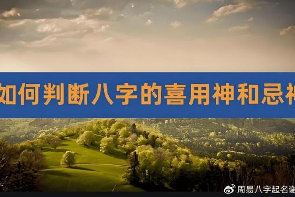 八字喜用神起名：解读八字喜用神对名字选择的影响