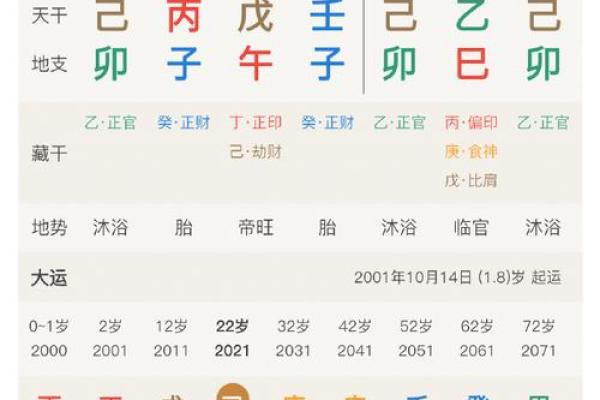 11月28的生辰八字是什么意思