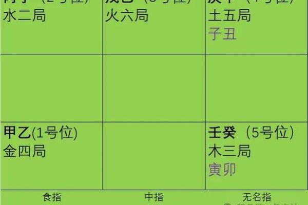 神巴巴紫薇斗数排盘