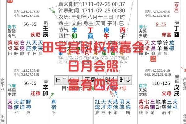紫薇斗数真人算命