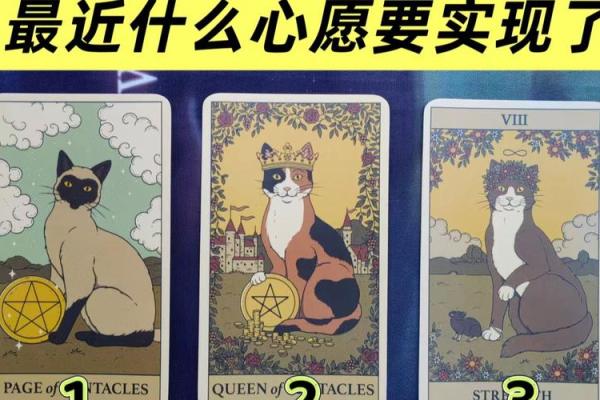 塔罗测试：你的事业高峰期是什么时候？