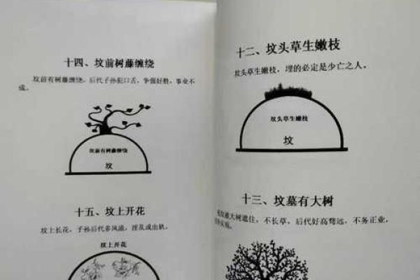 风水学：怎样知道祖坟风水好坏