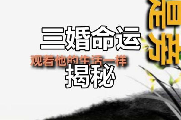 求算命