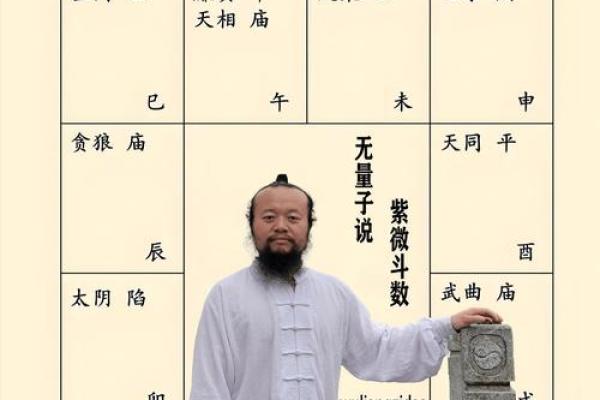 紫微斗数紫薇在兄弟宫怎么解读