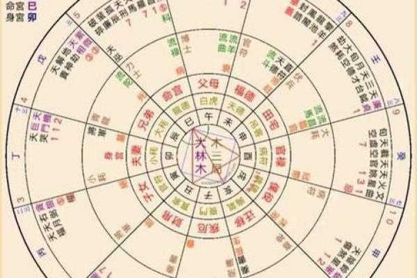 紫薇斗数排版