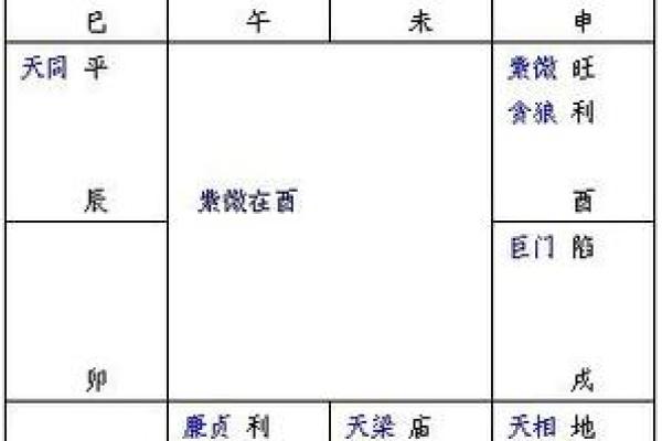 紫薇斗数明星盘