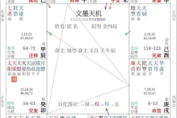 年紫薇星盘查询