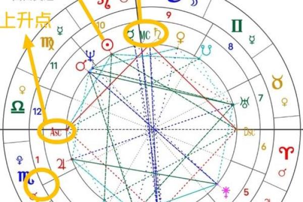 年紫薇星盘查询