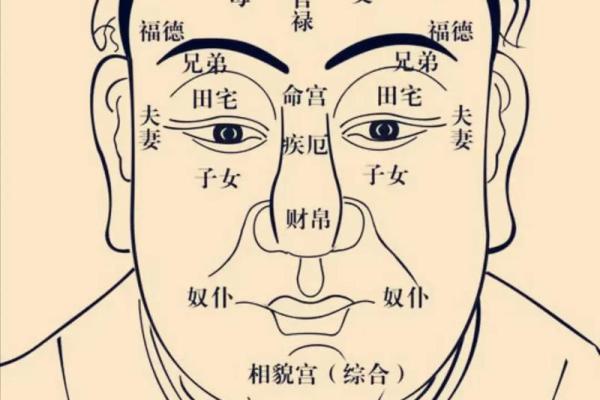 紫薇斗数田宅宫空