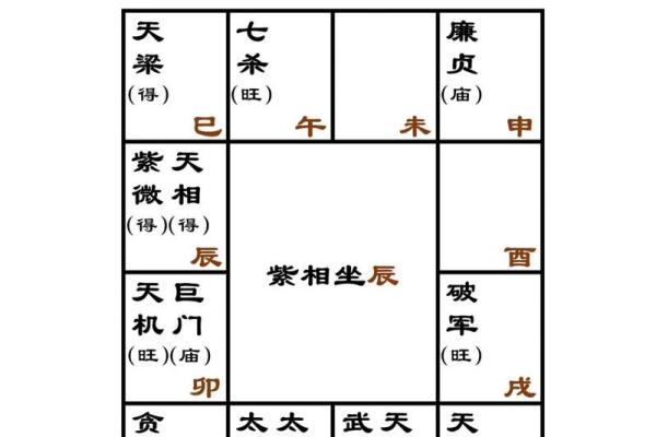 紫薇斗数看每日流盘