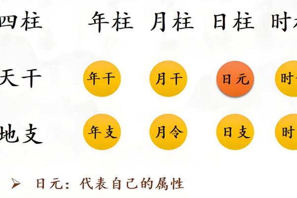 年柱食神是什么意思 八字有食神代表什么