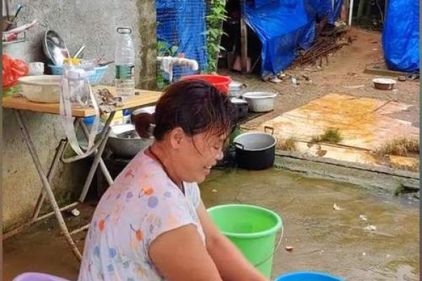 家中能养鸡鸭吗吉凶测试