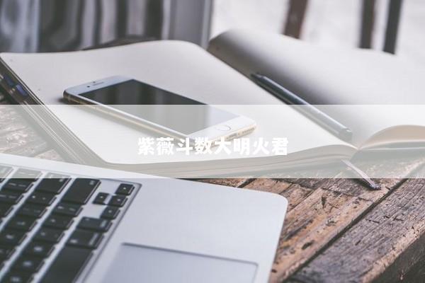 紫薇斗数大明火君