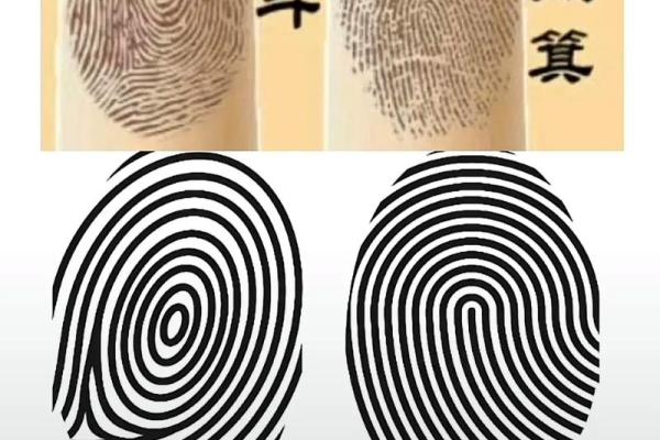 手指上的斗和簸箕代表什么 十个簸箕 簸箕和斗算命