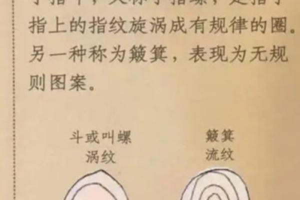 手指上的斗和簸箕代表什么 十个簸箕 簸箕和斗算命
