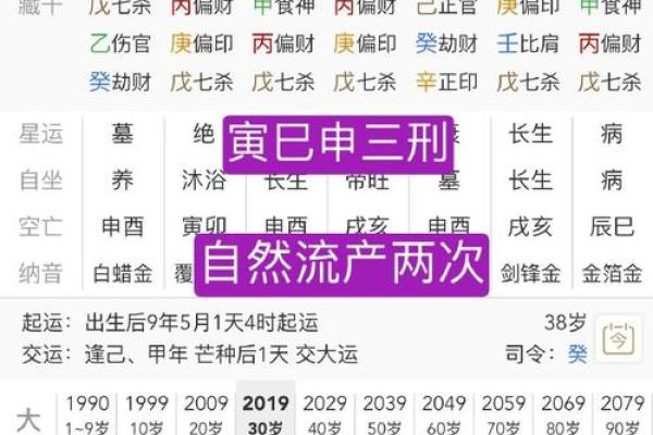 巳时八字
