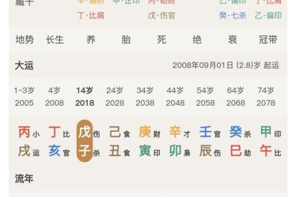 巳时八字