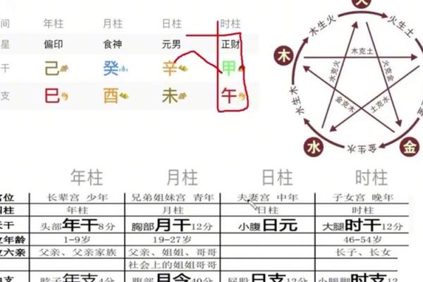 八字四柱的准确位置图