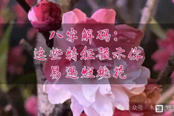 八字烂桃花怎么看？详细解析方法与特征