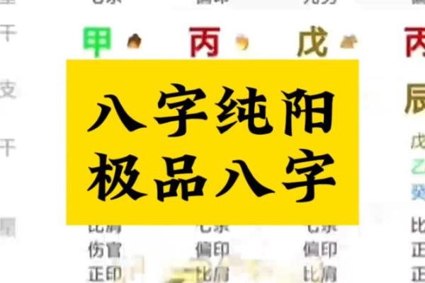 如何利用八字纯阳选择适合自己的职业 如何利用八字纯阳选择适合自己的职业
