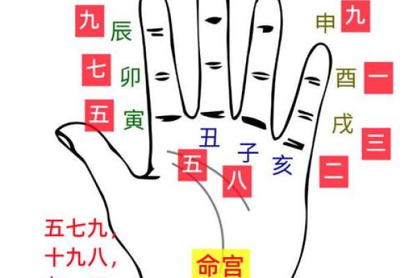 八字层次 八字层次