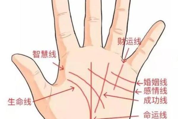 八字看婚姻线和命运线图解 八字看婚姻线和命运线图解