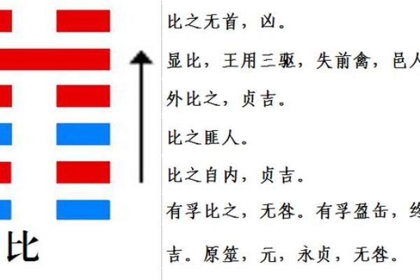 八字中的比 八字中的比