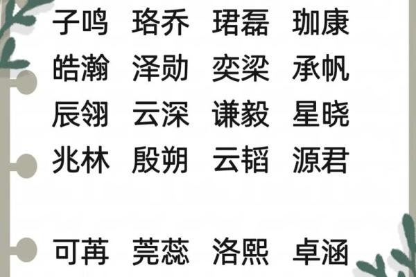 2024年农历正月二十八出生的男女宝宝五行 命运解析八字起名 2024年农历正月二十八出生的男女宝宝五行 命运解析八字起名