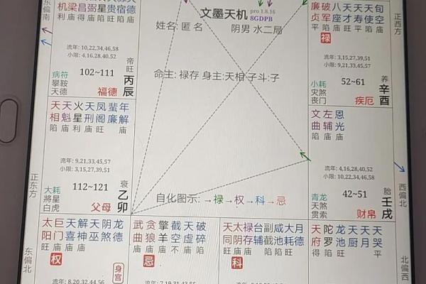 紫薇斗数+巨门星 紫薇斗数+巨门星