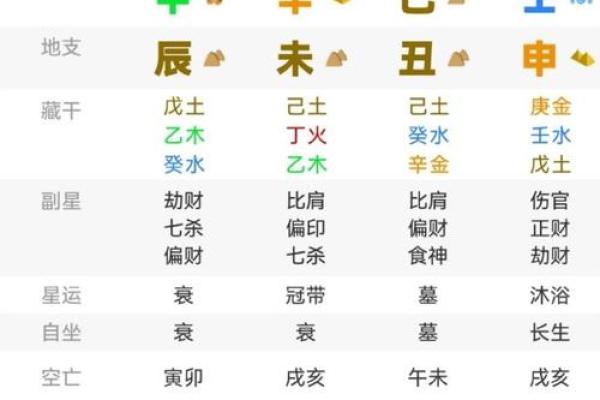 八字辛巳是浪子命格吗 八字辛巳是浪子命格吗