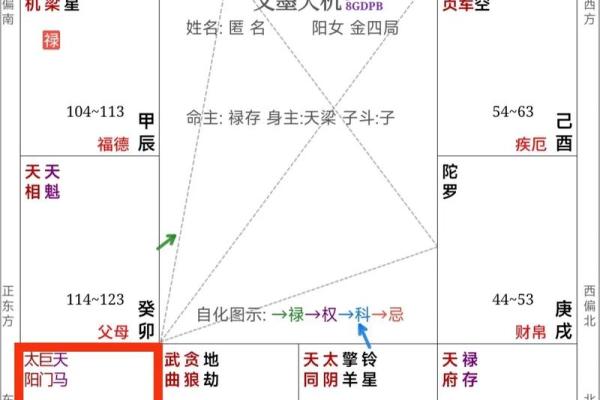紫微斗数资料- 紫微斗数资料pdf百度网盘？