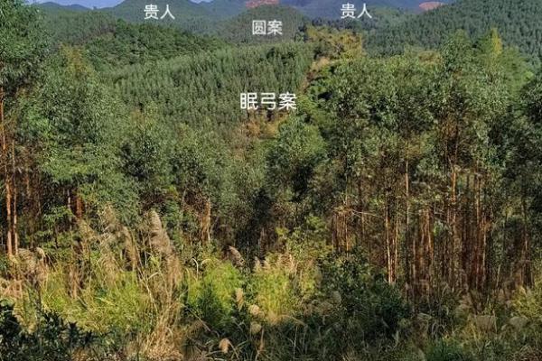 新坟地怎么看出好风水 新坟地怎么看出好风水