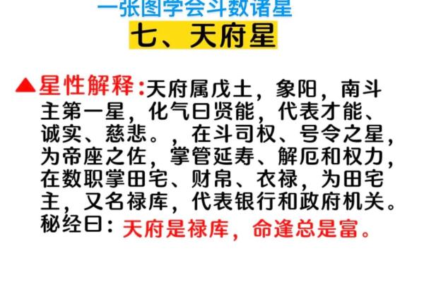 紫薇斗数禄库 紫薇斗数禄库